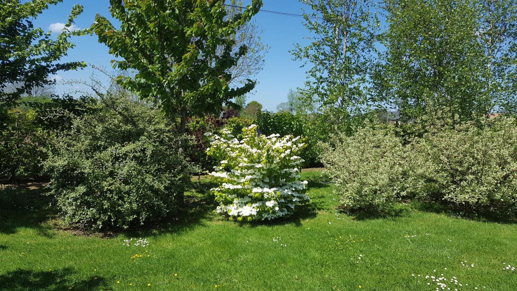 Gîte d'Anne et Ulysse Sept-Freres Extérieur photo